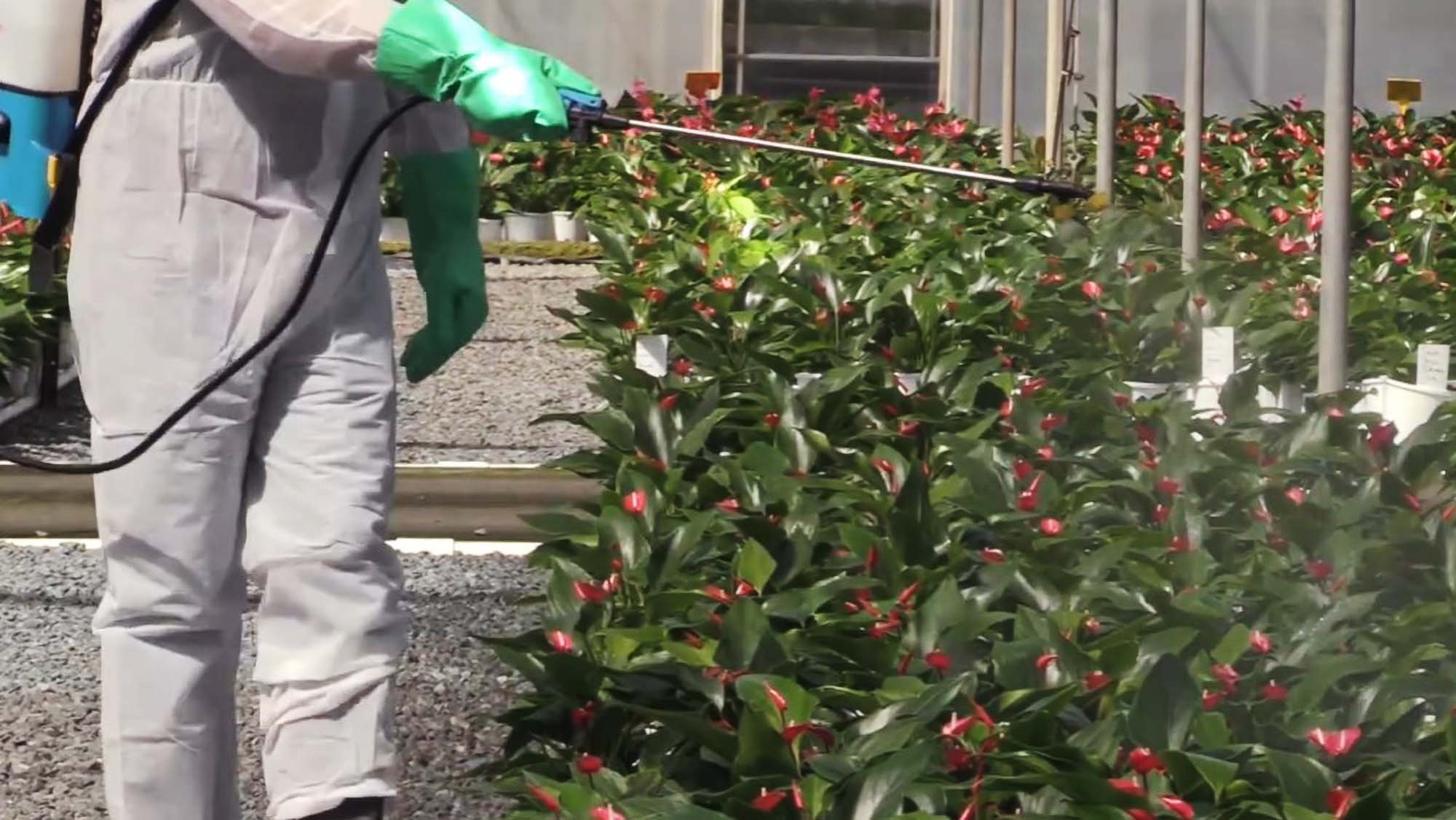 New York Beeswax Check Reveals Extensive Pesticide…