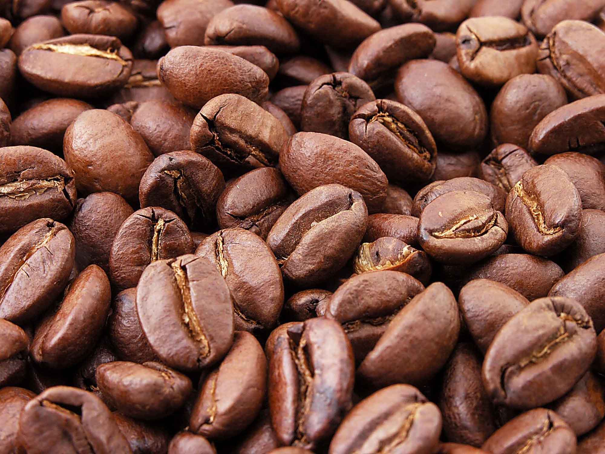 Higher Temperatures Could Spur Coffee Prices, Pollination…