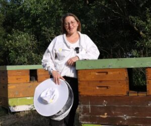 Food Firms ‘Turn Their Backs On Honey’