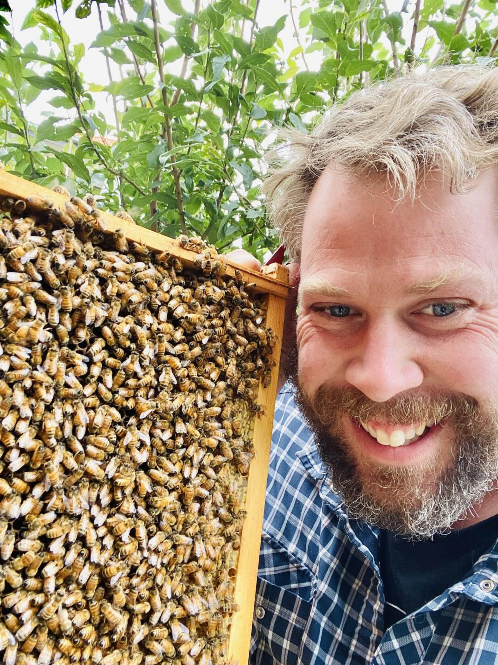 Blackburn South Beekeeper Overwhelmed By ‘Record-Breaking’ Year