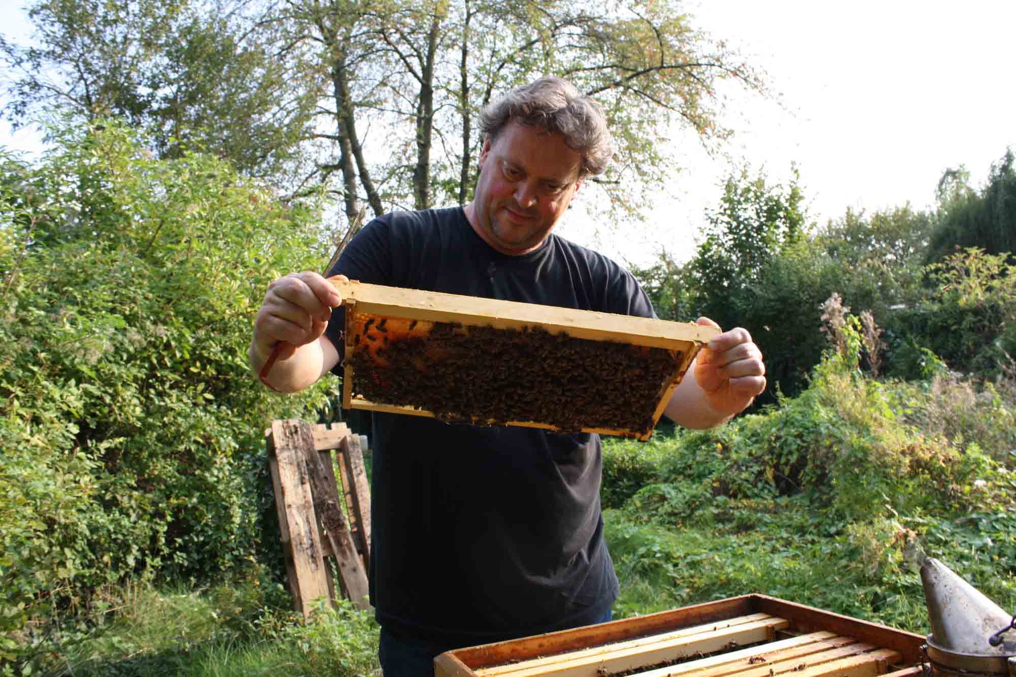 Award For ‘Brave’ Beekeeping Activist