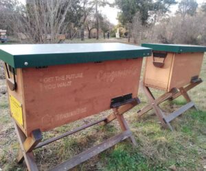 Farmer Reflects On How He Got Into Apiculture