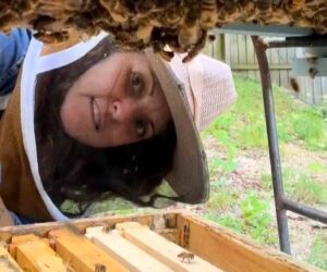 Tennessee Apiarist Reveals Amazing Bee Facts