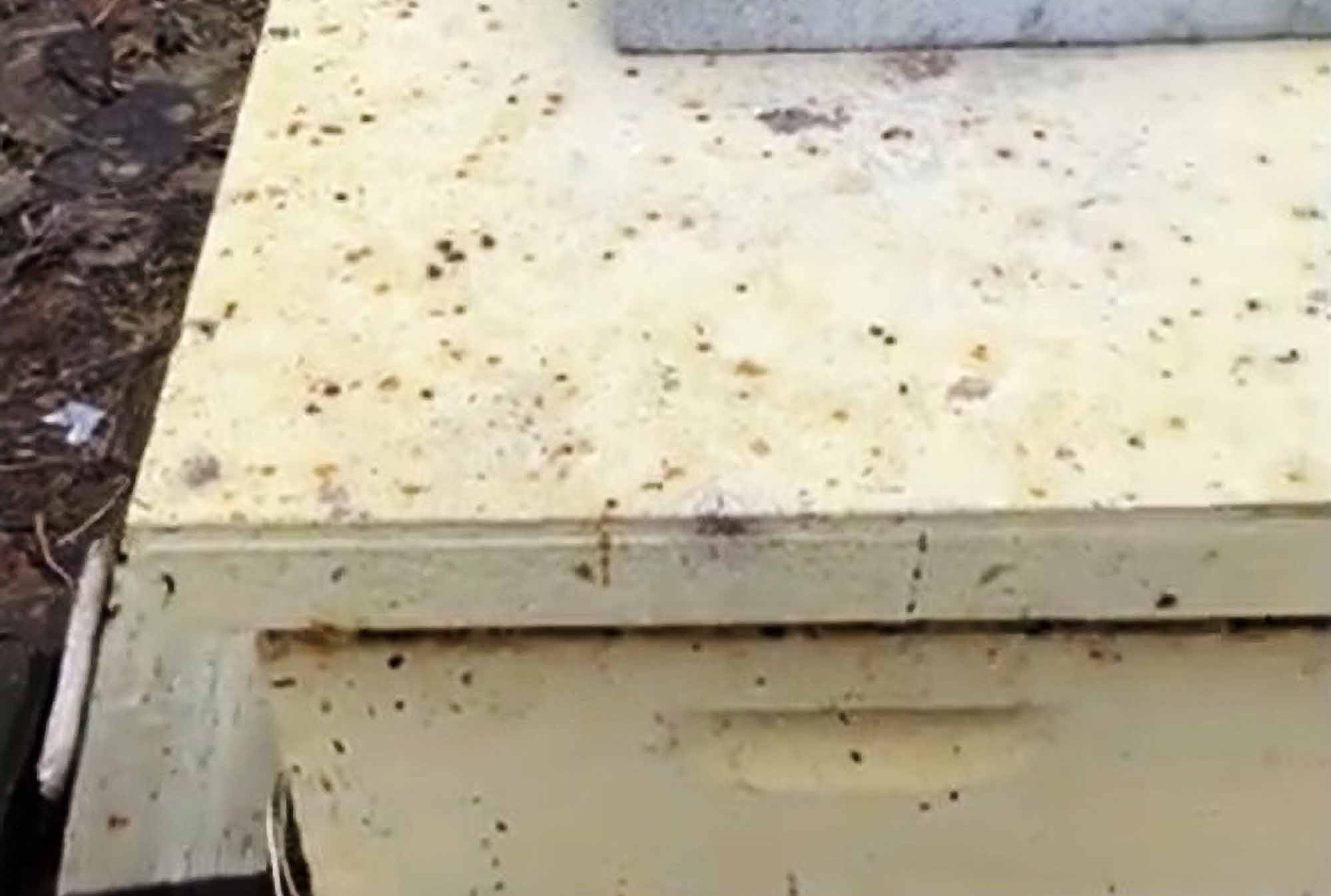 Couple Sue Beekeepers Over Pollen Poop Covering Their Home